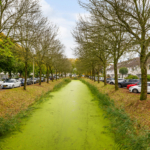 UT101784-40856-Dampkring-12,-De-meern-249972692