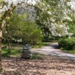 UT101798-20806-Hermannus-Elconiusstraat-23,-Utrecht-225300282