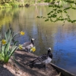 UT101798-20806-Hermannus-Elconiusstraat-23,-Utrecht-225300290