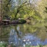 UT101798-20806-Hermannus-Elconiusstraat-23,-Utrecht-225300296