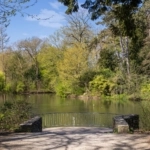 UT101798-20806-Hermannus-Elconiusstraat-23,-Utrecht-225300300