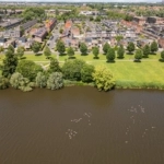 UT101883-27870-Zevenblad-16,-De-meern-234430194