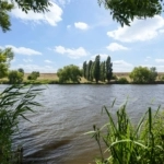 UT101883-27870-Zevenblad-16,-De-meern-234430202