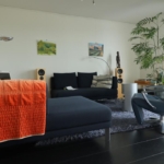 UT101982-42205-Rolderdiephof-130,-Utrecht-244207146