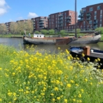 UT101982-42205-Rolderdiephof-130,-Utrecht-244207370