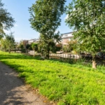 UT102013-32808-Fazantenkamp-444,-Maarssen-250061040