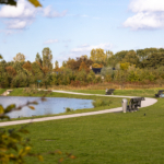 UT102037-43165-Melkzwamsingel-6,-Vleuten-254801604