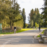 UT102037-43165-Melkzwamsingel-6,-Vleuten-254801622