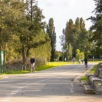 UT102037-43165-Melkzwamsingel-6,-Vleuten-254801622