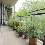 UT102044-41150-Mercuriusweg-29,-Delft-251827818