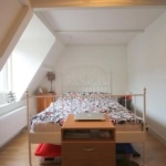 UT102057-41009-Piet-Heinstraat-1C,-Utrecht-253056932