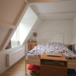 UT102057-41009-Piet-Heinstraat-1C,-Utrecht-253056938