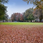 UT102068-49521-Bataviastraat-8BS,-Utrecht-261907882