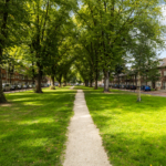 UT102090-46699-Adelboldstraat-52,-Utrecht-257458722