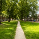 UT102090-46699-Adelboldstraat-52,-Utrecht-257458722