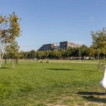 UT102101-50391-Rudolf-Kattnigghof-1,-Utrecht-265894988