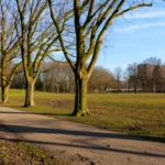 UT102122-48113-De-Louterlaan-33,-Utrecht-259976718