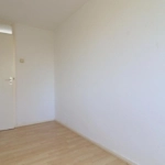 UT102147-49672-Ansinghlaan-58,-Nieuwegein-262971640