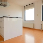 UT102163-51379-Henriëtte-Roland-Holststraat-142,-Utrecht-267206566