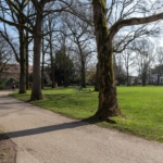 UT102164-51455-Linnaeusstraat-26,-Utrecht-269642840