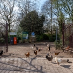 UT102164-51455-Linnaeusstraat-26,-Utrecht-269642846