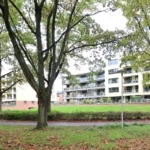 UT101934-32999-Maarten-Schrijverlaan-13,-Utrecht-251394724