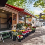 UT101979-32139-Adelboldstraat-52,-Utrecht-247801522