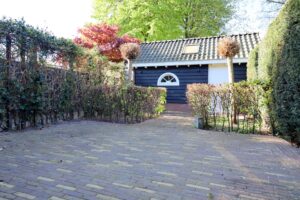 Zwanebloem 15