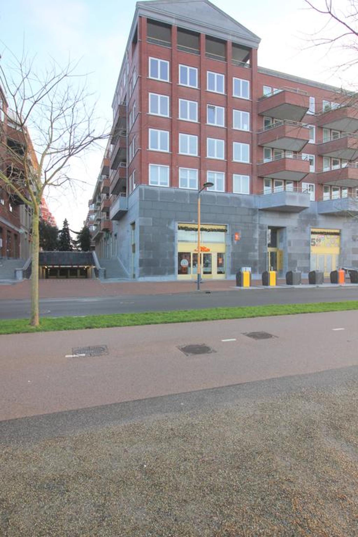 Grauwaartsingel 292