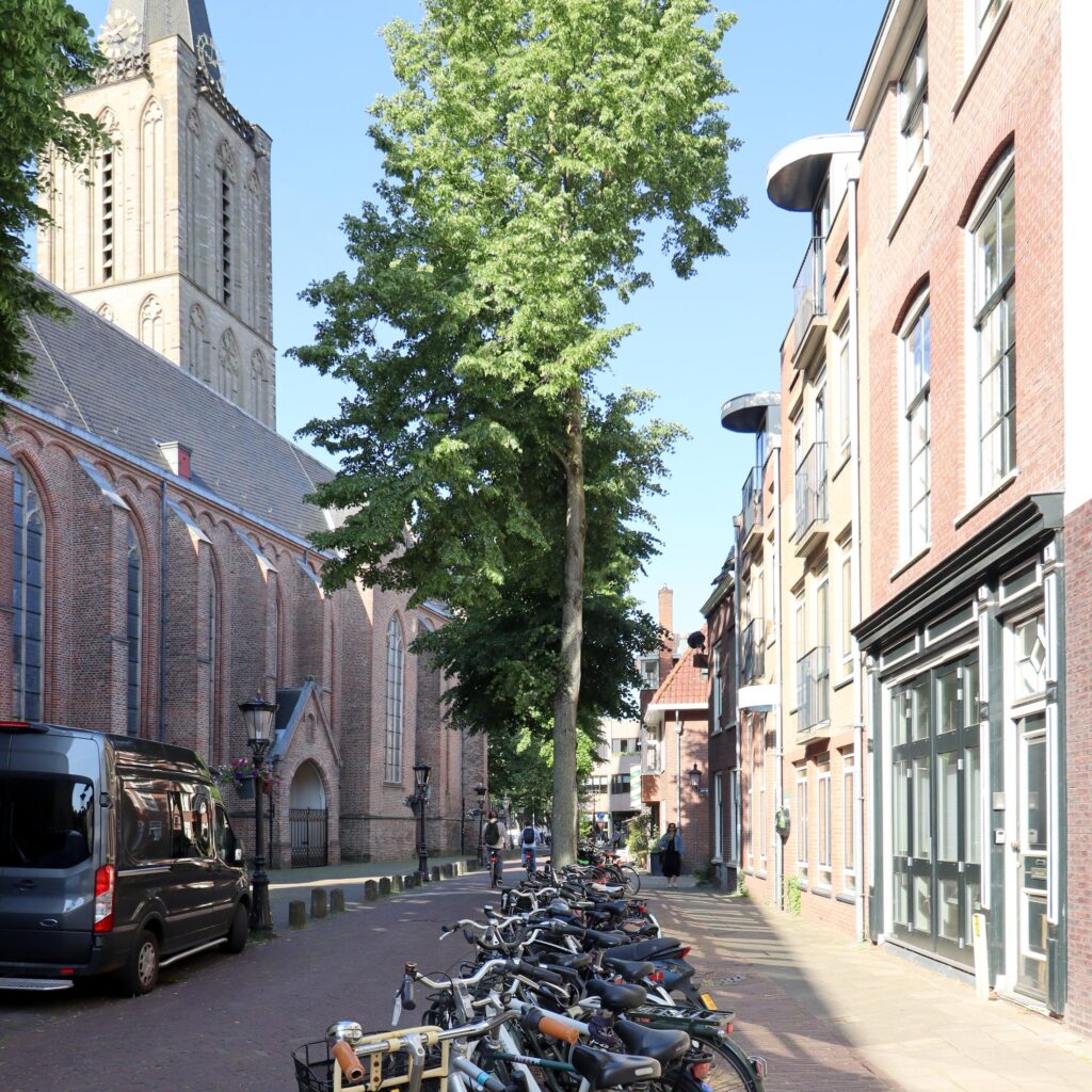 huurwoningen te huur op Waterstraat 9 A